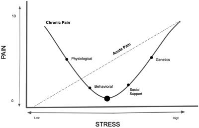 Walking the Tightrope: A Proposed Model of Chronic Pain and Stress